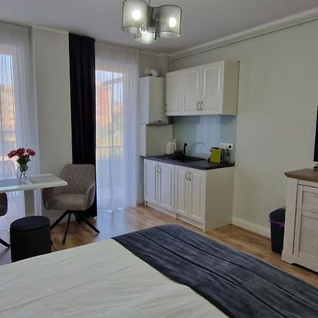 Studio Ema Nagybánya Kültér fotó
